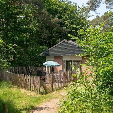 Comfort 6-Person Dog Bungalow In The Holiday Park Landal Heideheuvel Beekbergen Exterior foto